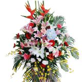 ʤʻٵ