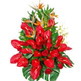 ʤʻٵ