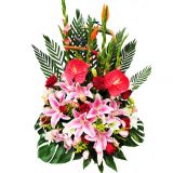 ʤʻٵ