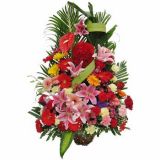 ʤʻٵ